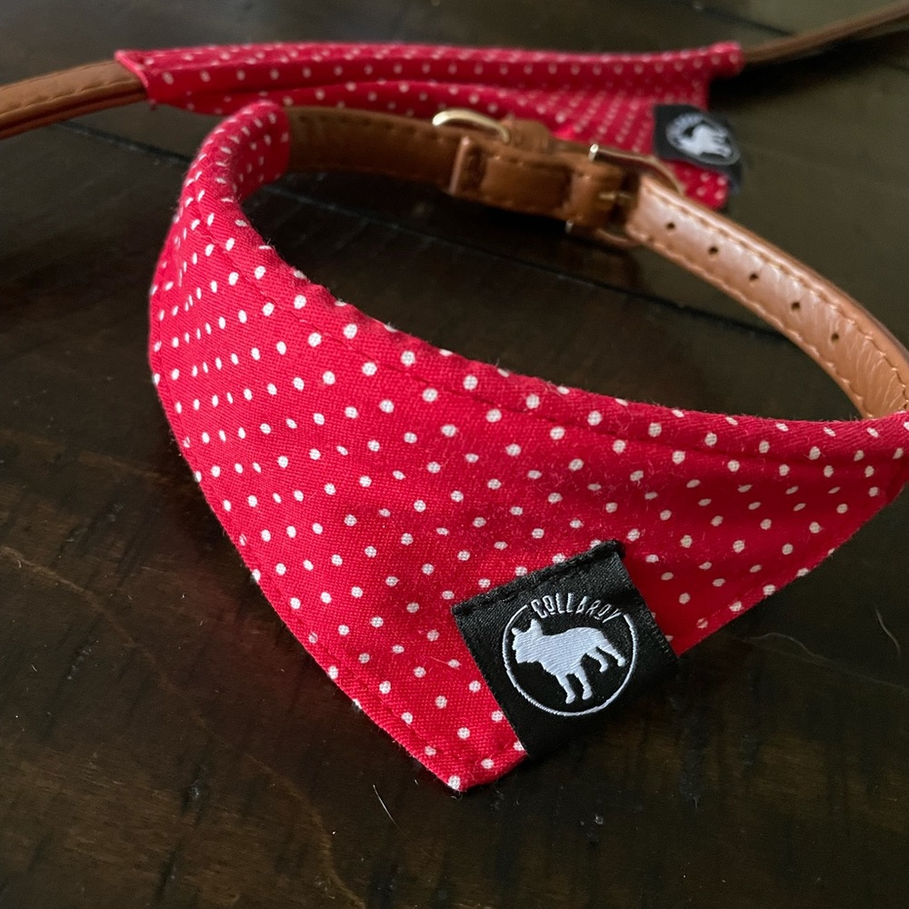 Collaroy 16.5” leather dog collar with red bandana
